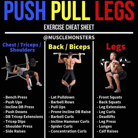 ppl/arnold split|Push Pull Legs x Arnold Split Workout Plan (Fully Explained)